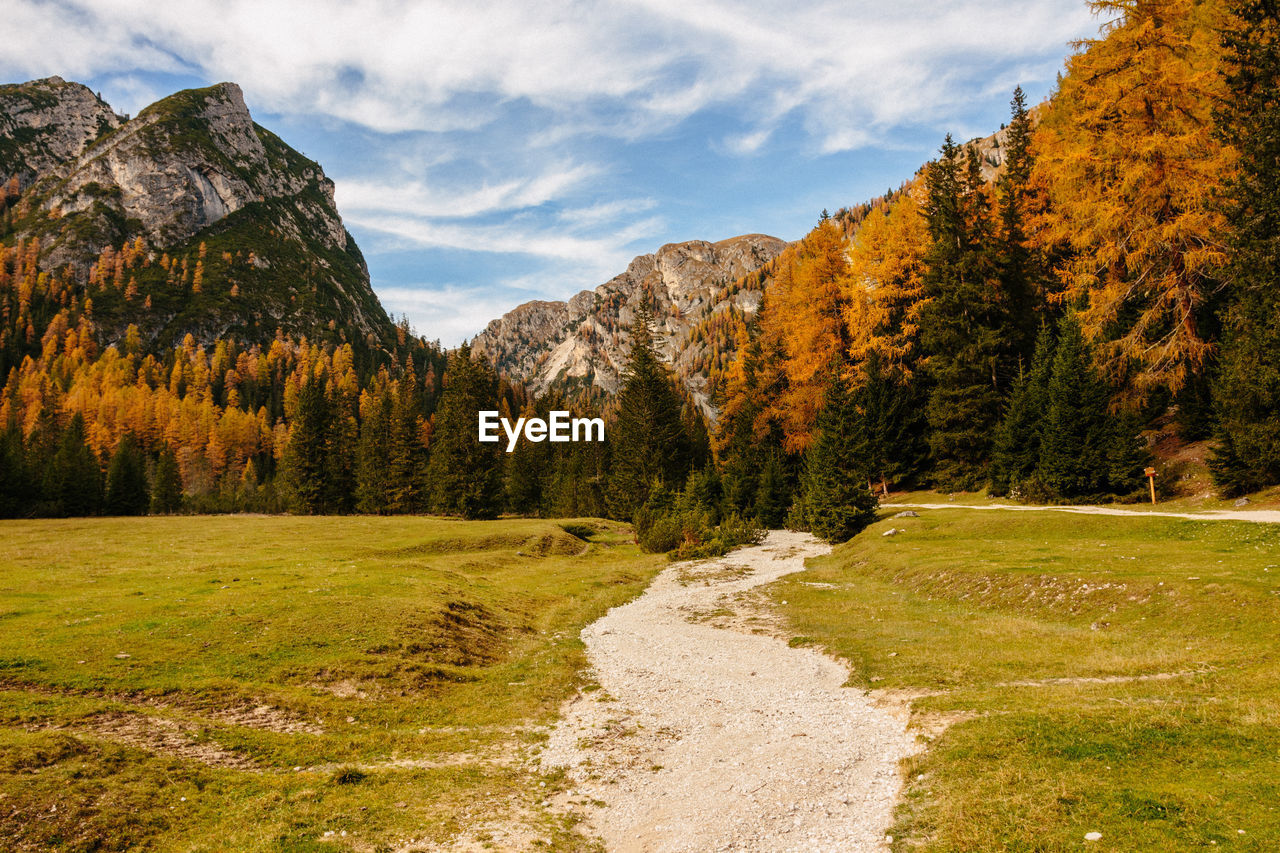 Trail leading towards autumn trees