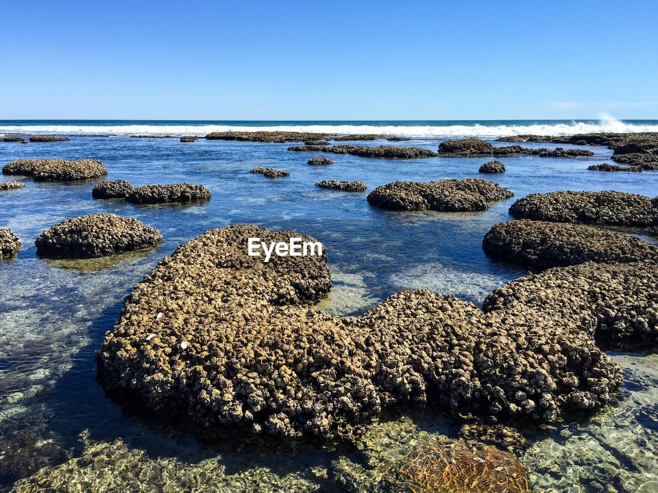 Scenic view of sea against clear sky