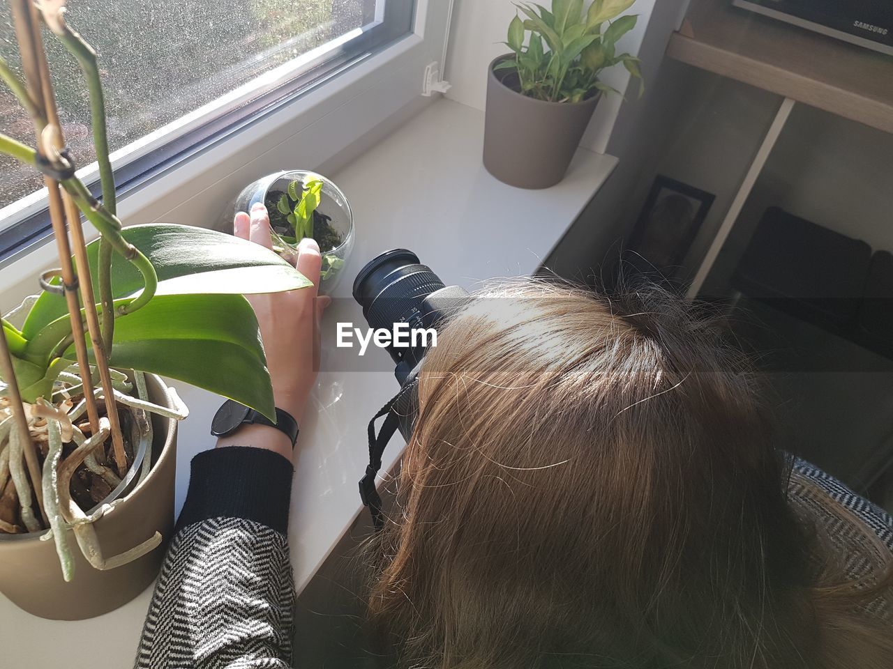 High angle view of woman photographing plant at window sill