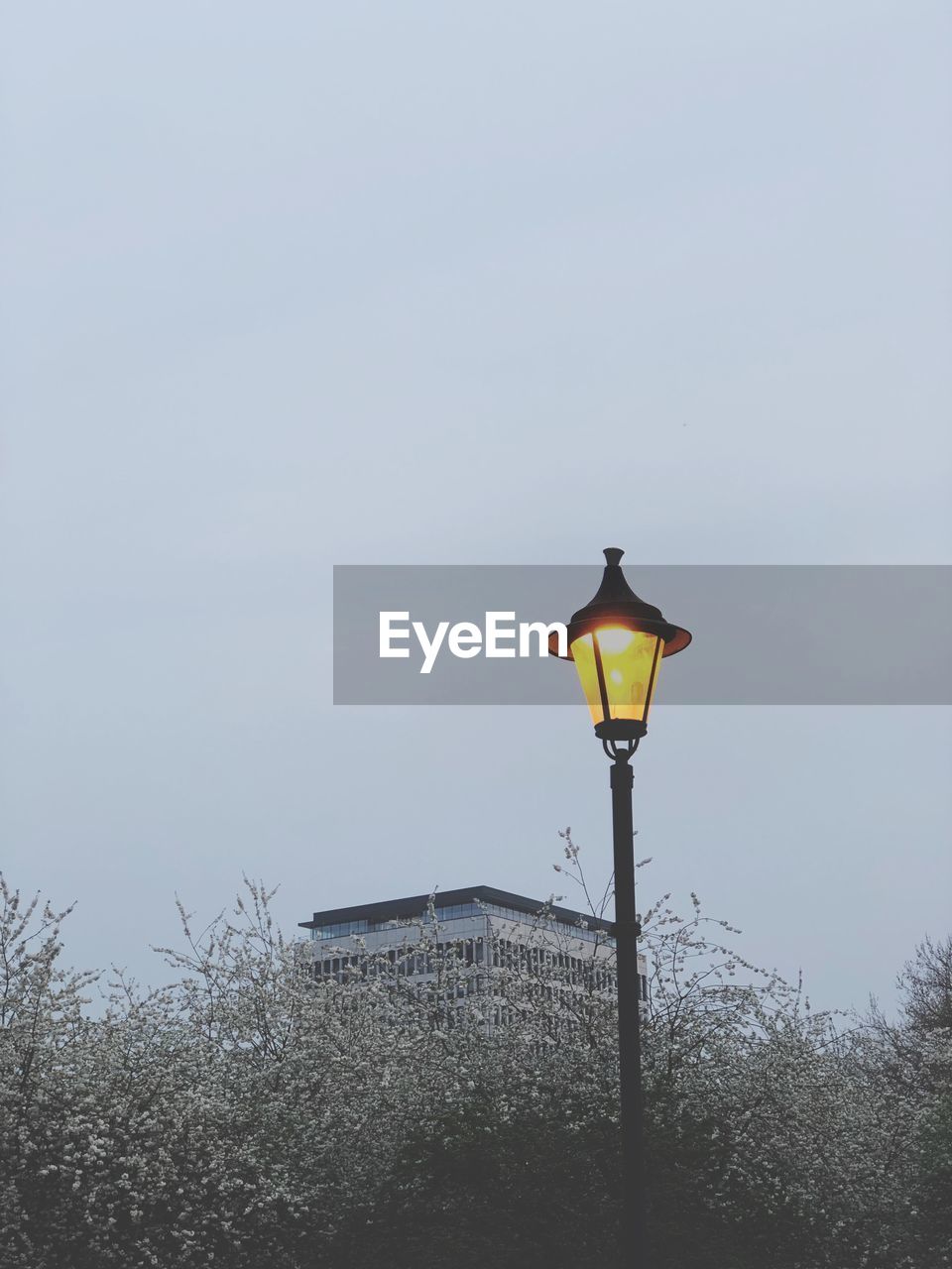 STREET LIGHT AGAINST SKY AT DUSK