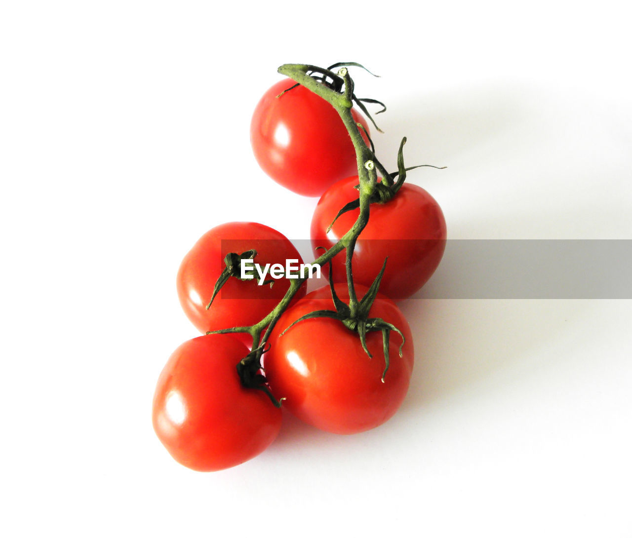 CLOSE-UP OF TOMATOES AGAINST WHITE BACKGROUND