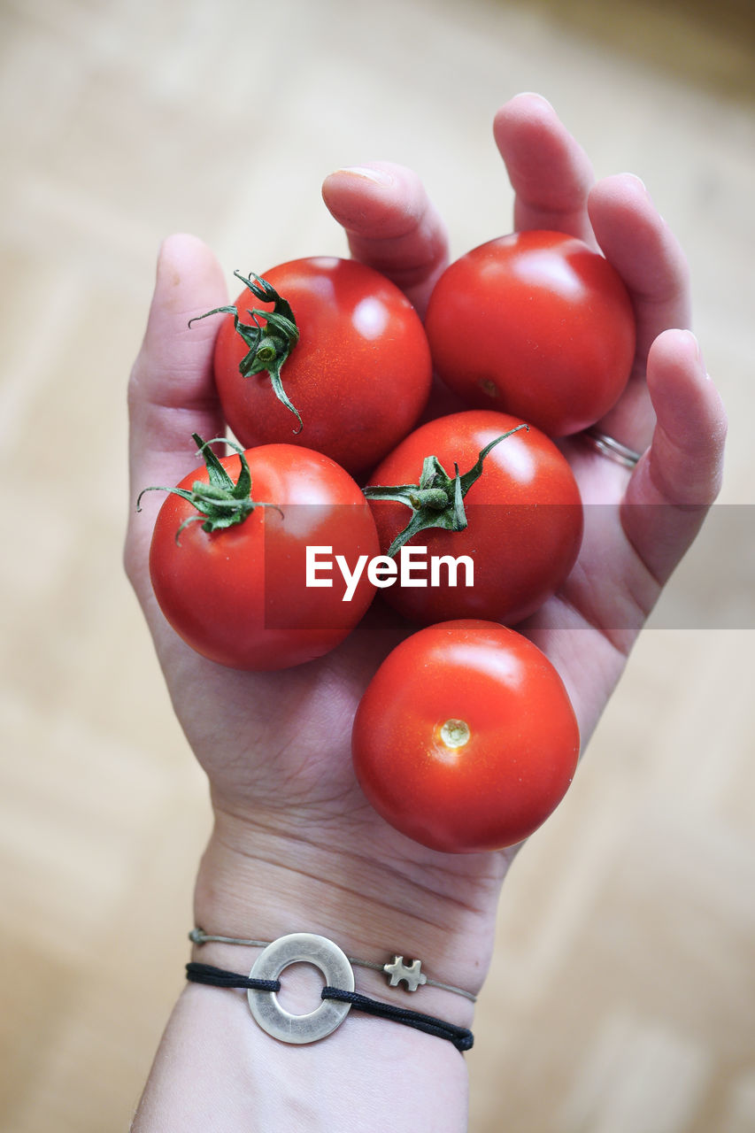 HIGH ANGLE VIEW OF TOMATOES IN HAND HOLDING CHERRIES