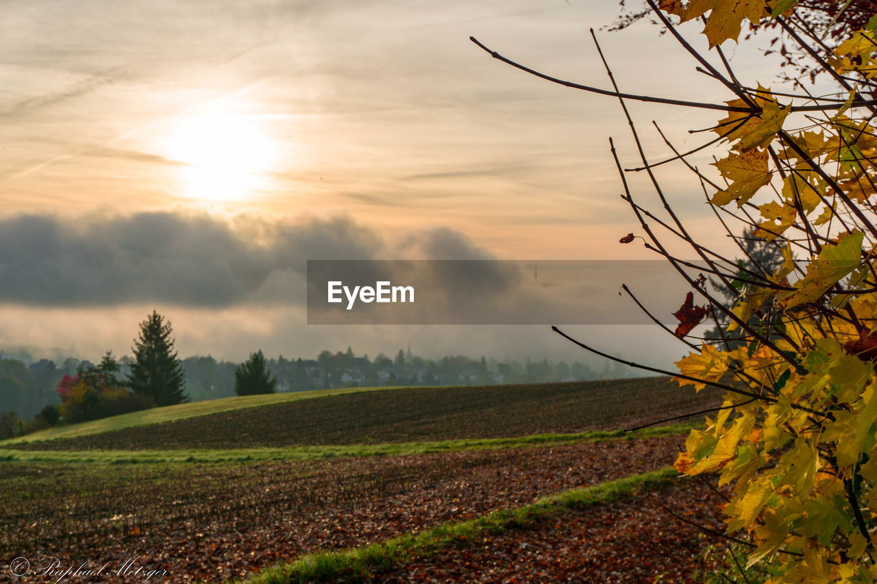 SCENIC VIEW OF FIELD AGAINST SKY AT SUNSET