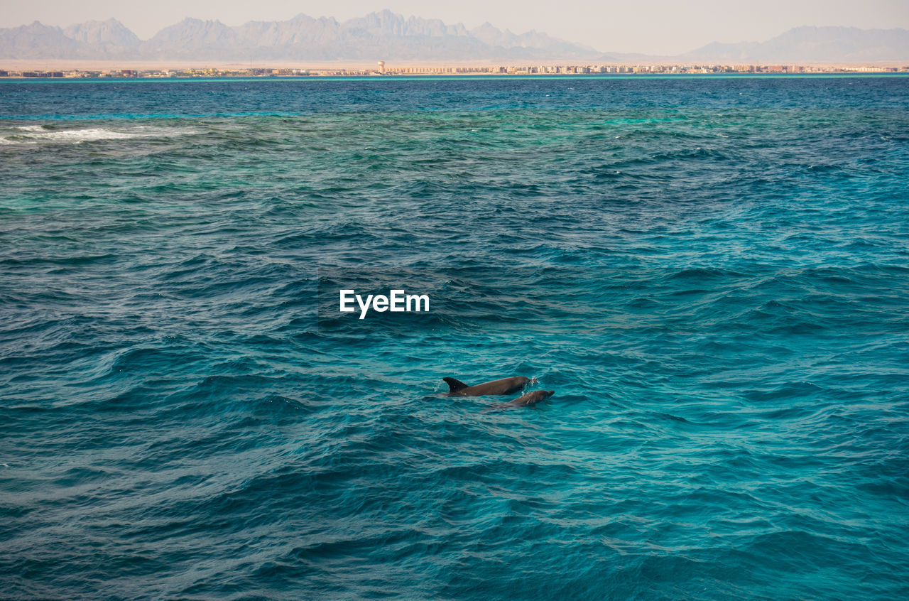 SCENIC VIEW OF SEA