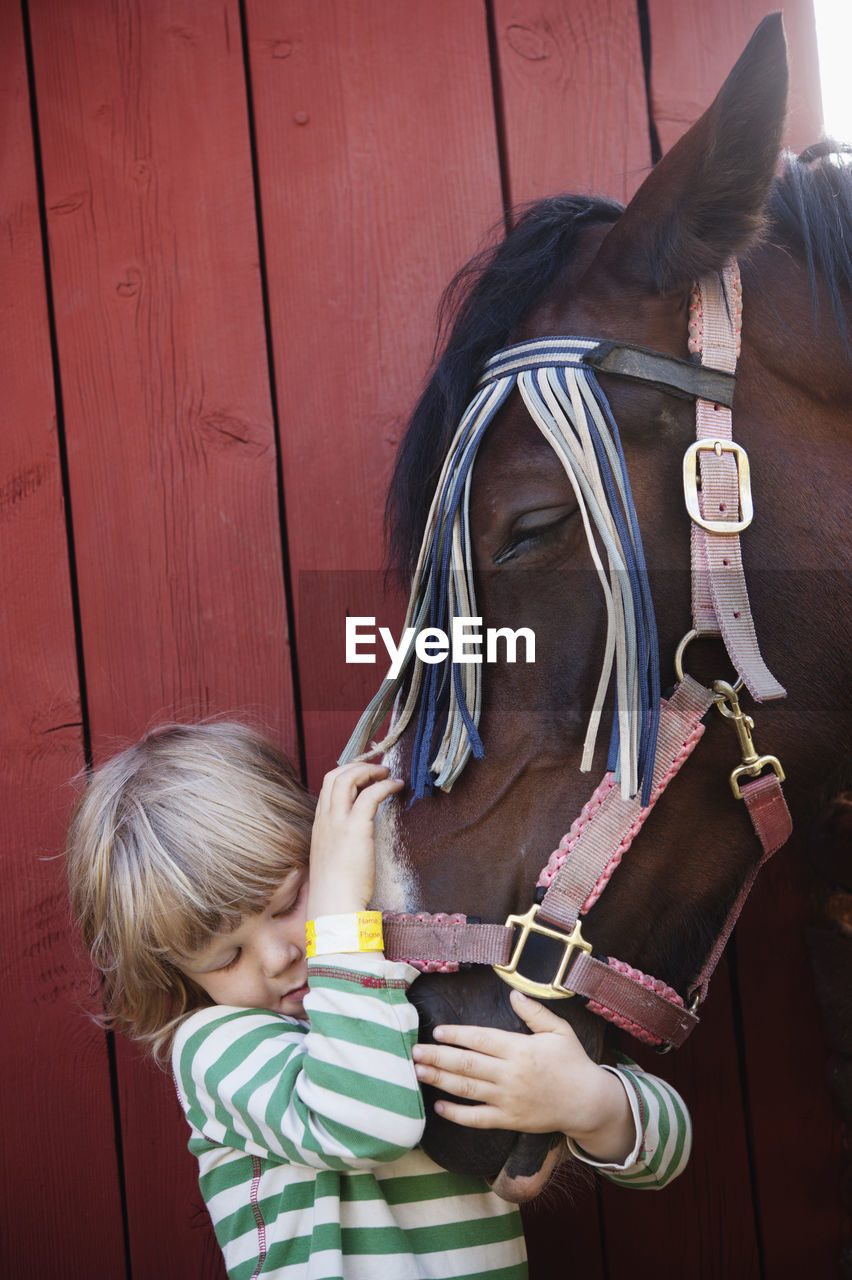 Boy hugging horse