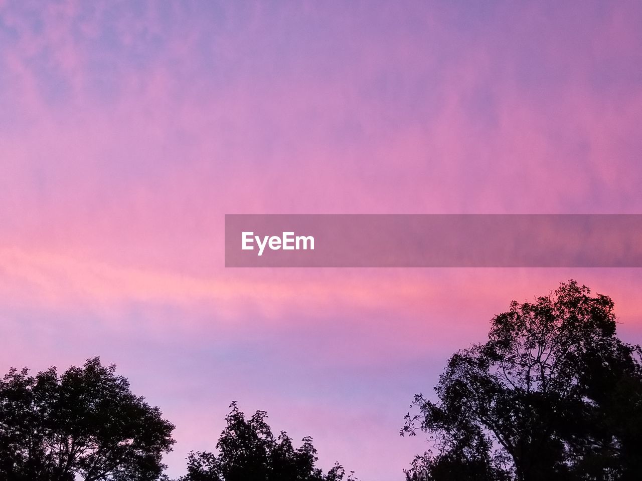 LOW ANGLE VIEW OF SILHOUETTE TREE AGAINST SKY AT SUNSET