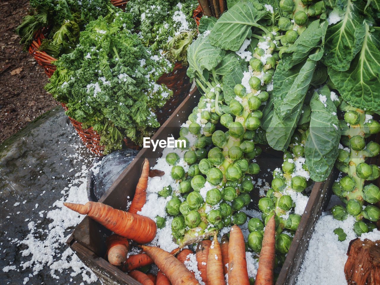 High angle view of carrots and brussels sprouts in container during winter