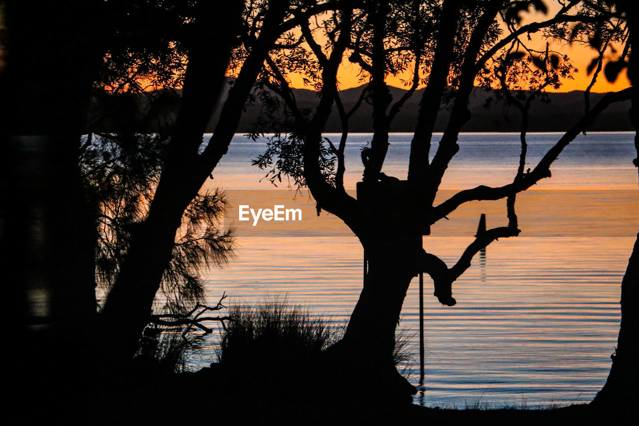 SILHOUETTE TREES BY LAKE DURING SUNSET