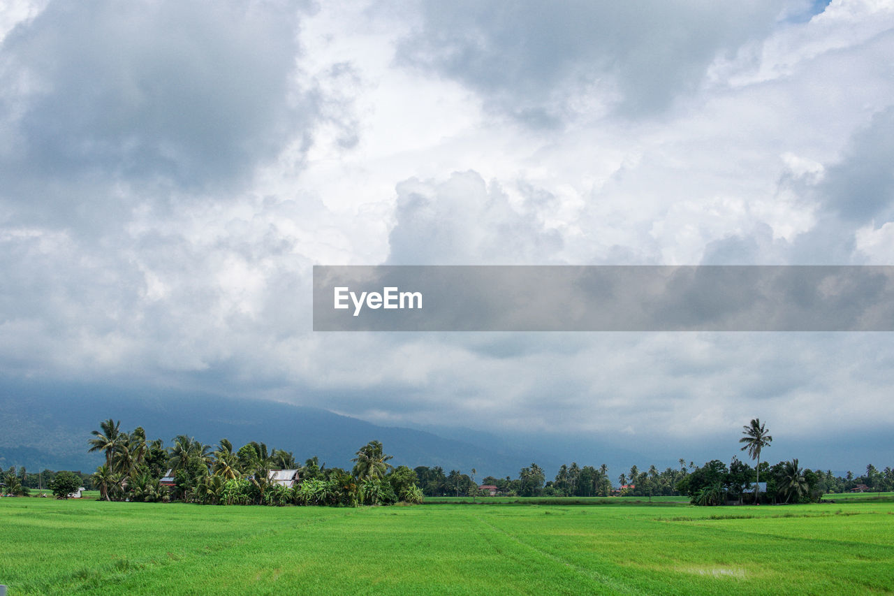 SCENIC VIEW OF LAND AGAINST SKY