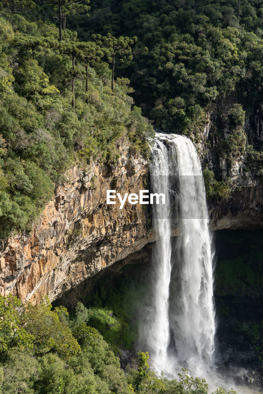 Scenic view of waterfall in forest