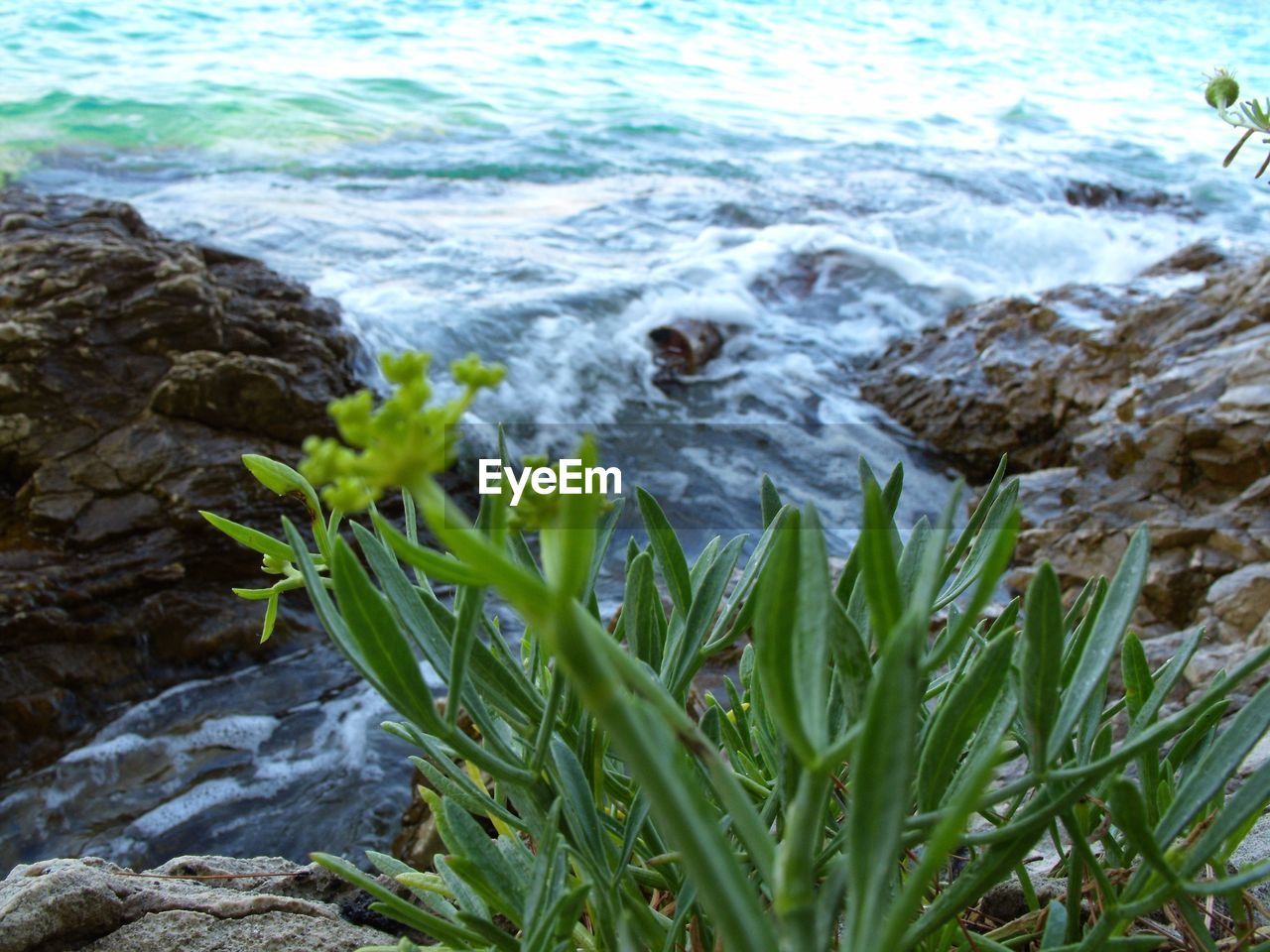 ROCKS ON SEA