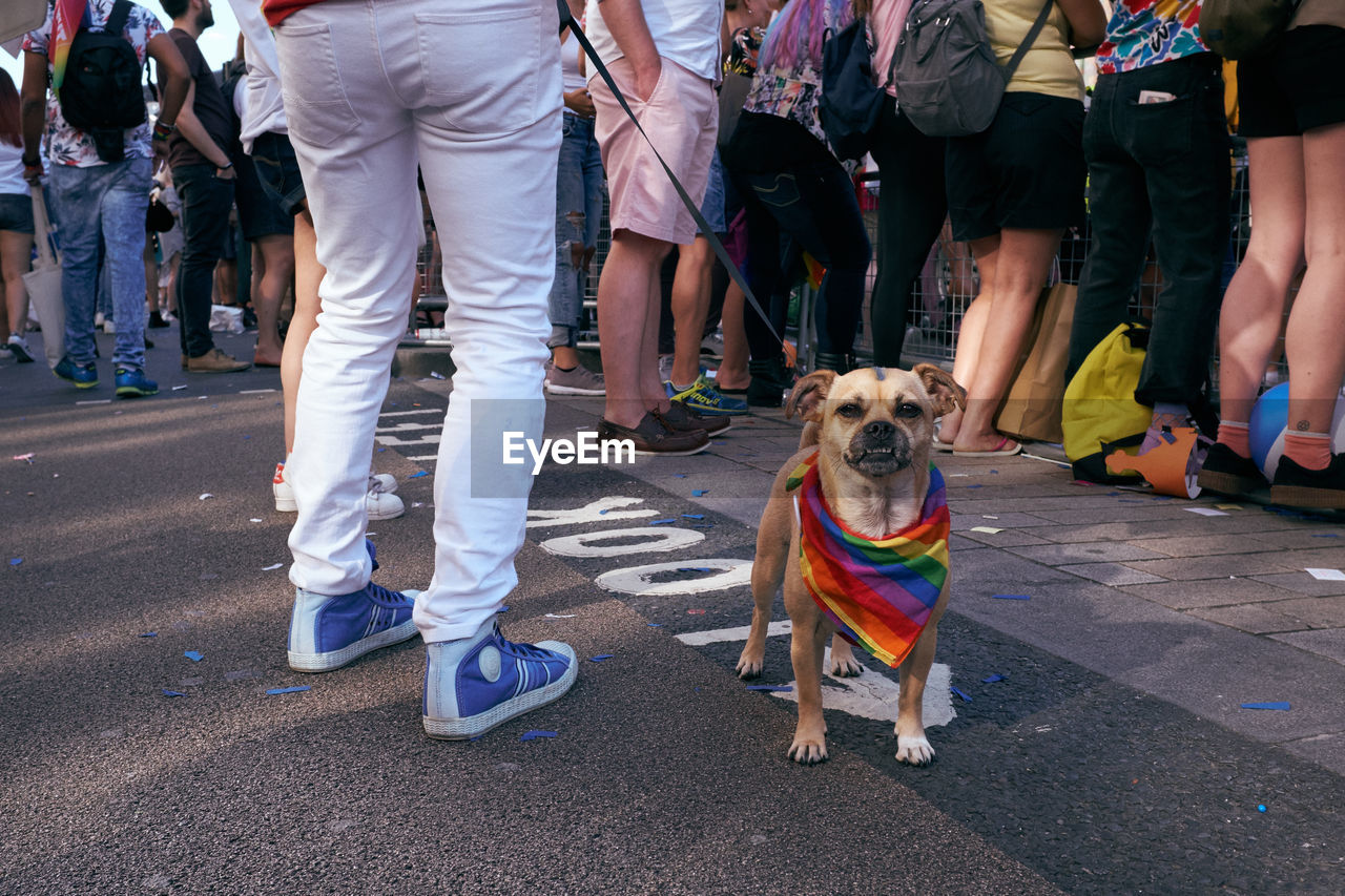 Low section of man with dog