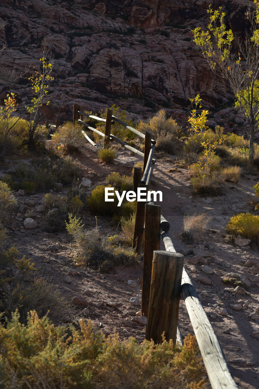 Scenic view of landscape against mountains