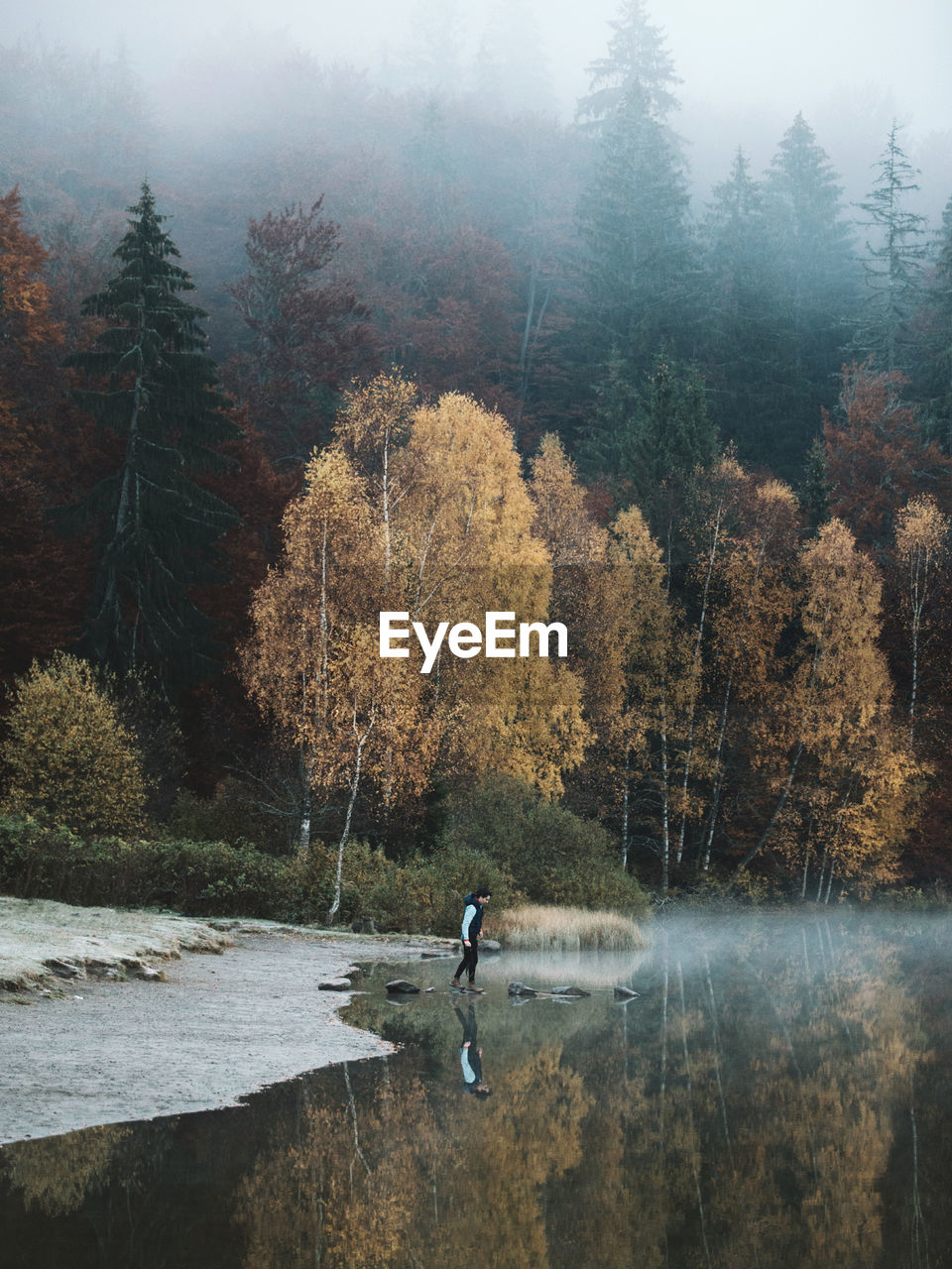 Man standing by lake in forest against sky