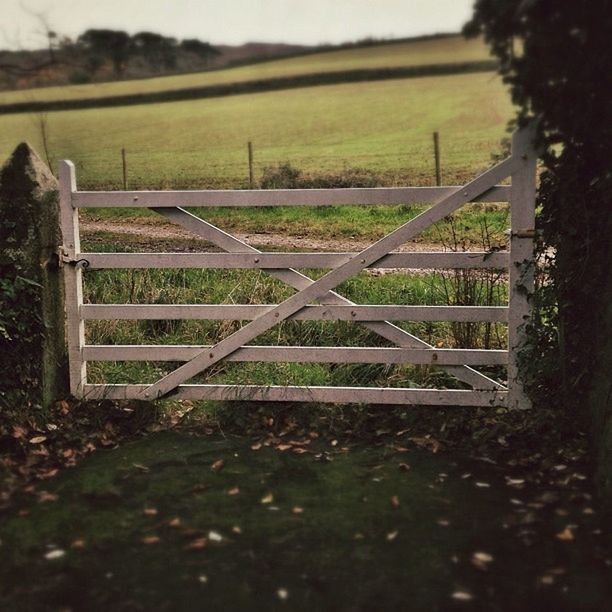 WOODEN FENCE ON GRASSY FIELD