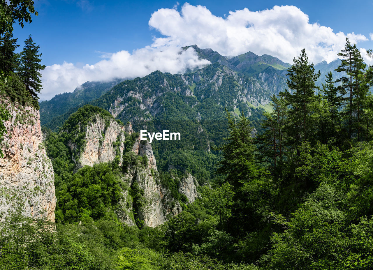 Panoramic view of trees and mountains against sky