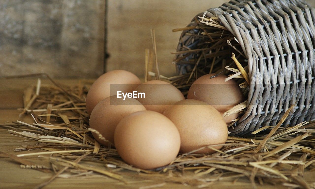 egg, food, food and drink, animal egg, animal nest, close-up, fragility, bird, no people, hay, nature, beginnings, animal, freshness, organic, indoors, healthy eating, animal themes, group of objects, wellbeing, straw, brown, agriculture, selective focus, plant, container, nest, still life