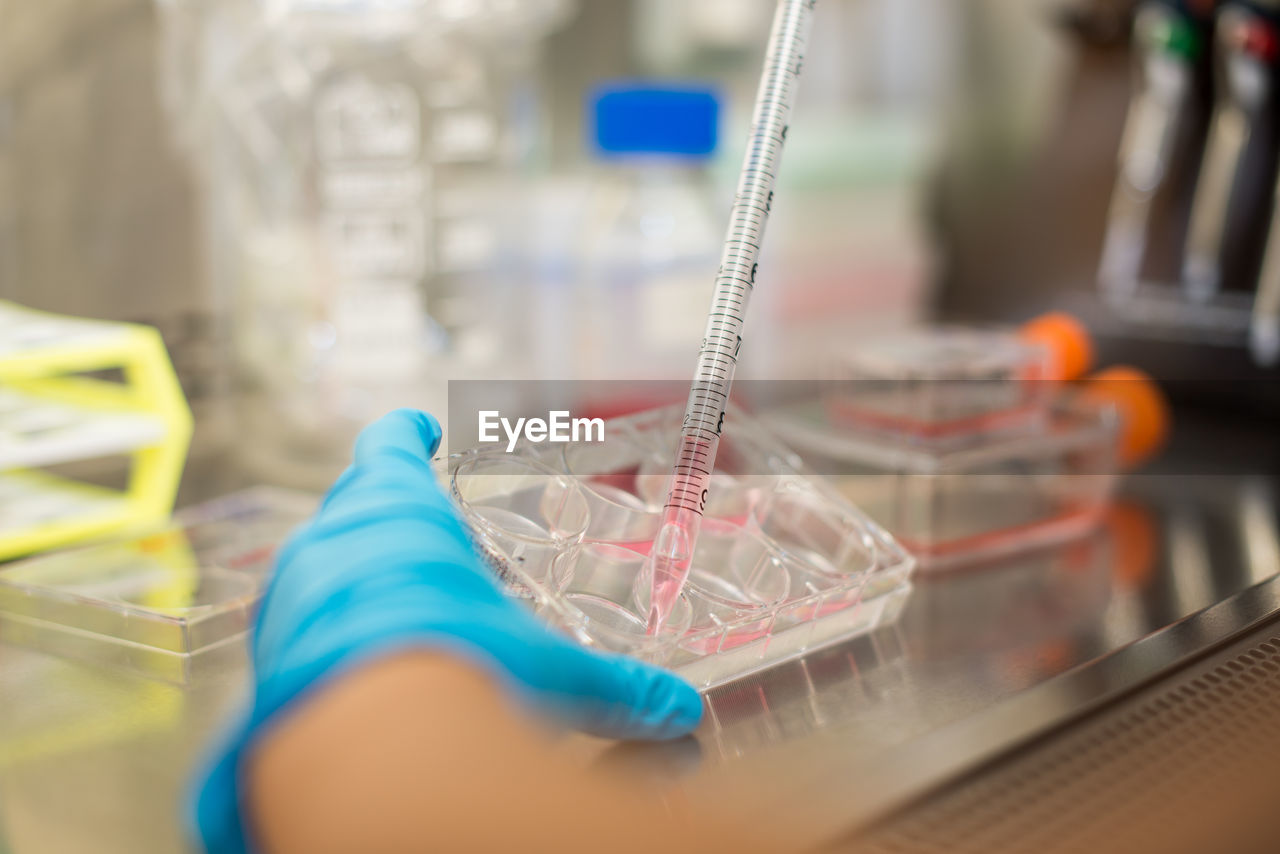 Cropped hand of doctor doing research in laboratory