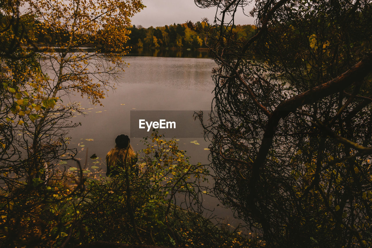 SCENIC VIEW OF LAKE AMIDST TREES AGAINST SKY