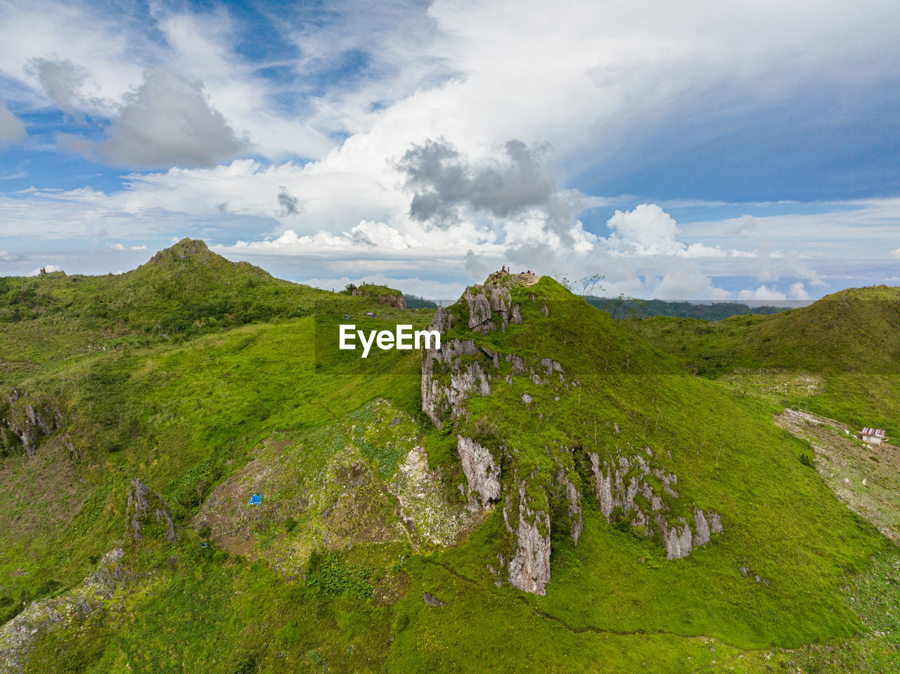 Tropical plants and trees covers mountains and ravine. osmena peak. cebu philippines.