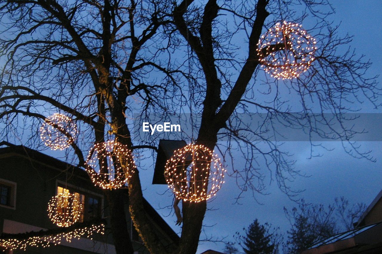 LOW ANGLE VIEW OF ILLUMINATED BARE TREES AGAINST SKY