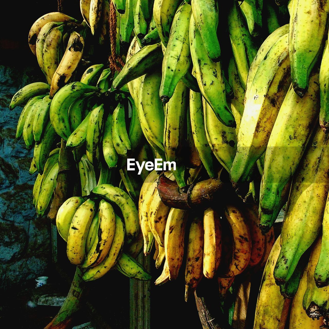 Bananas hanging at market for sale