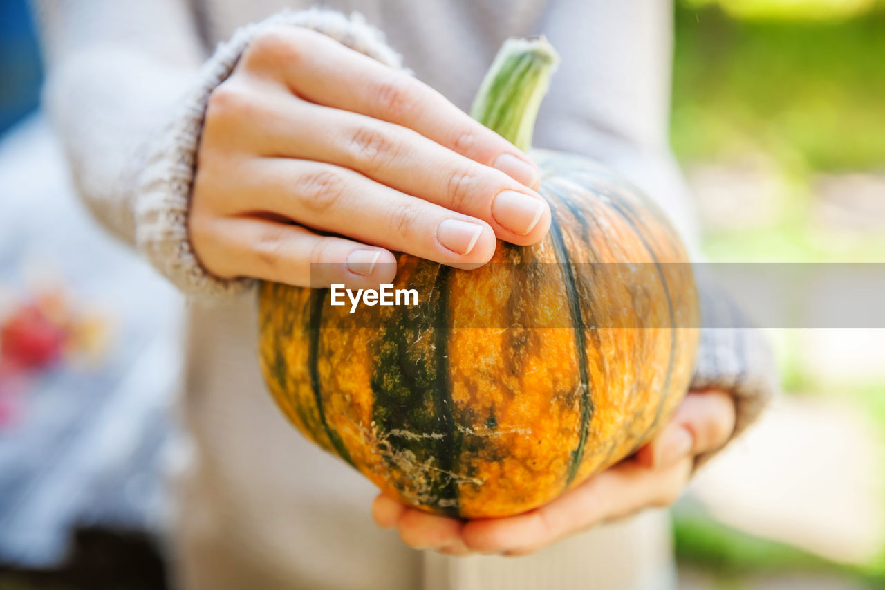 cropped hand of man holding pumpkin