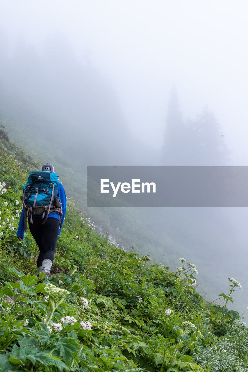 Hiking scenes in the beautiful north cascades.