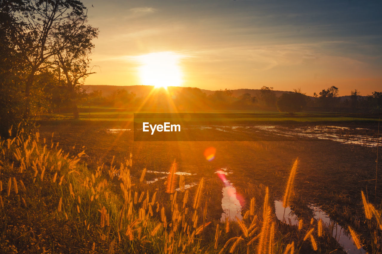 SCENIC VIEW OF SUNSET OVER FIELD