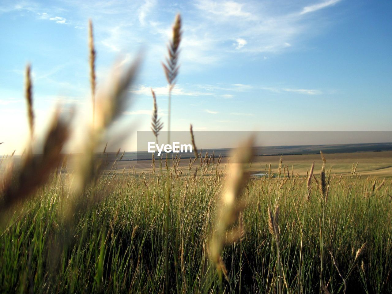 Scenic view of field against cloudy sky