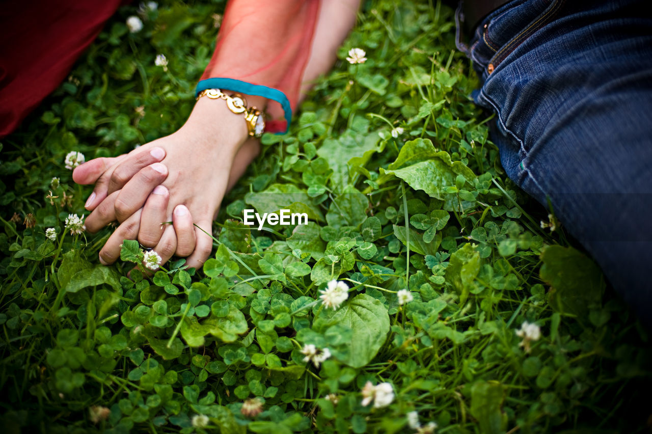 Cropped couple holding hands on grassy field