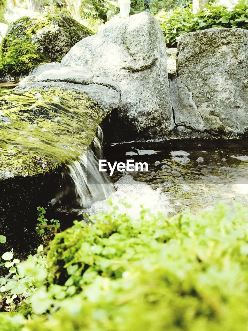 CLOSE-UP OF WATERFALL AGAINST TREES