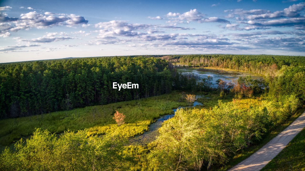 SCENIC VIEW OF LANDSCAPE