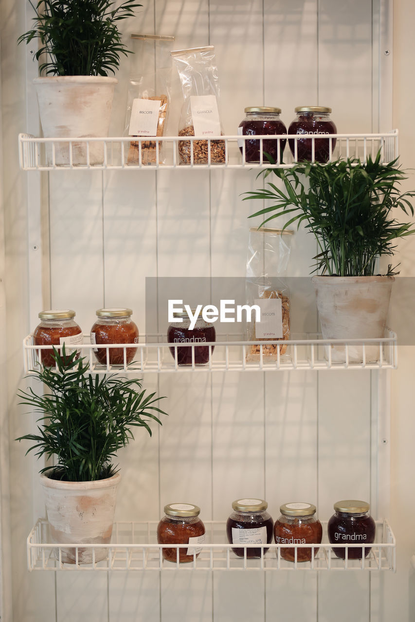 POTTED PLANTS ON TABLE