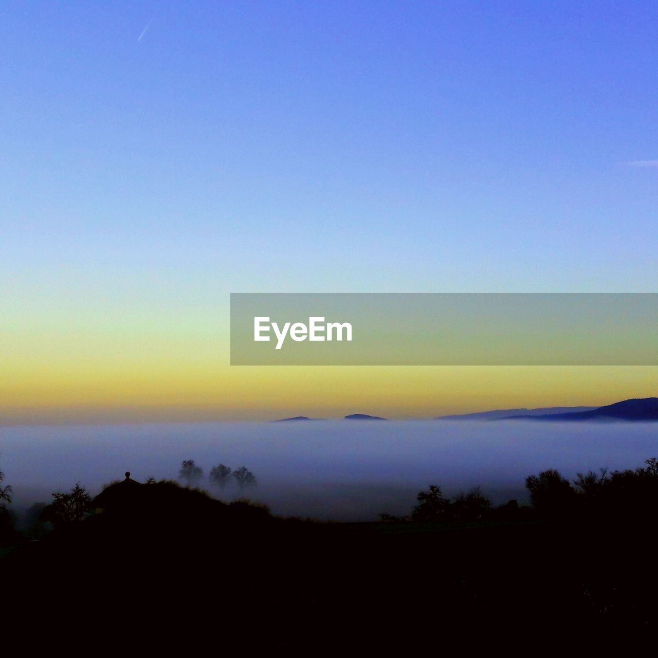 SCENIC VIEW OF SILHOUETTE TREES AGAINST SKY AT SUNSET