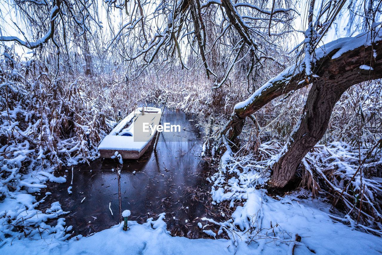 Snow covered tree and boat in frozen lake during winter