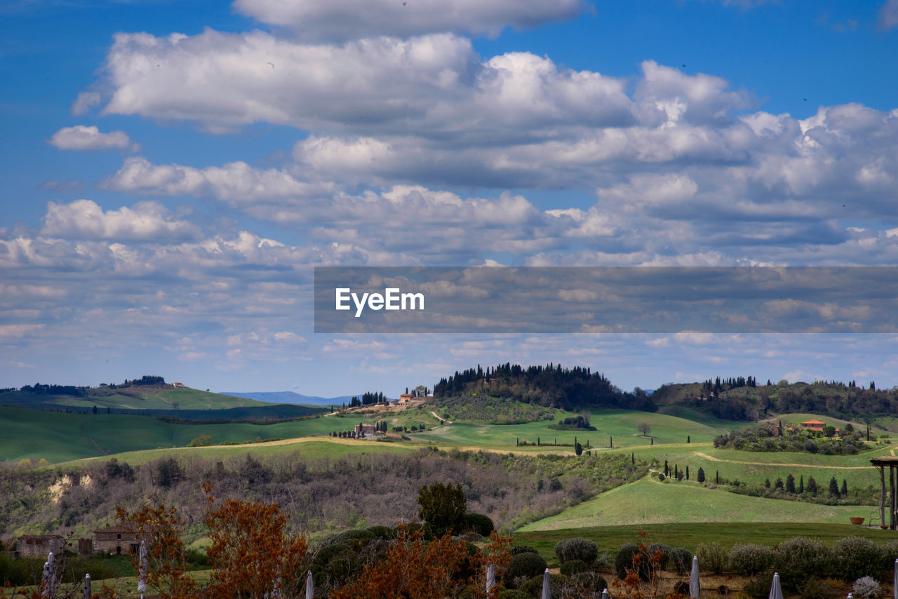 Scenic view of agricultural field against sky