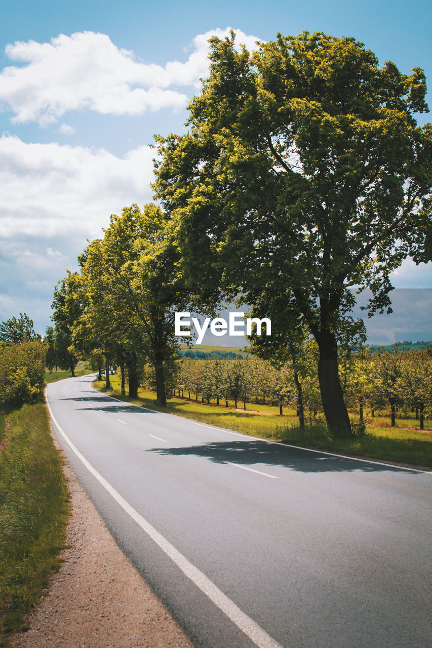 Empty road by trees against sky