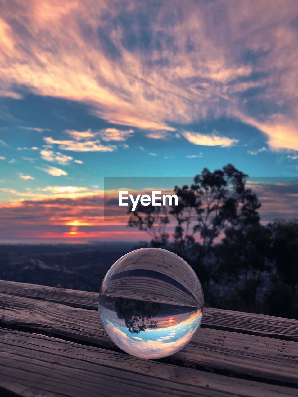 REFLECTION OF TREES ON GLASS OF WATER