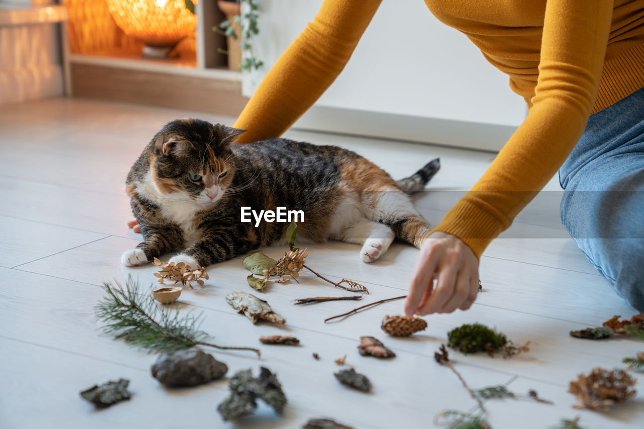 low section of woman with cat sitting on table