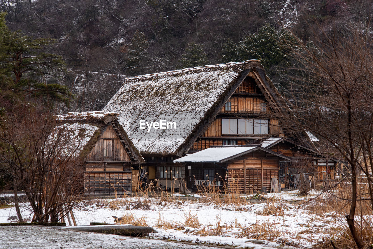 Snow covered houses and trees in forest