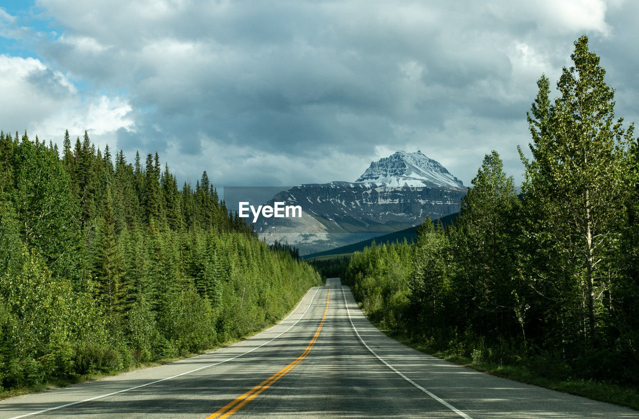 Road amidst trees against sky