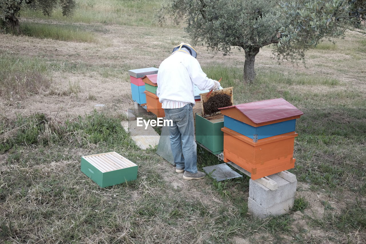 Rear view of beekeeper examining honeycomb while standing on field