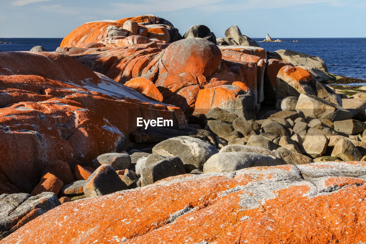 Lichen covered rocks at sea, bay of fire