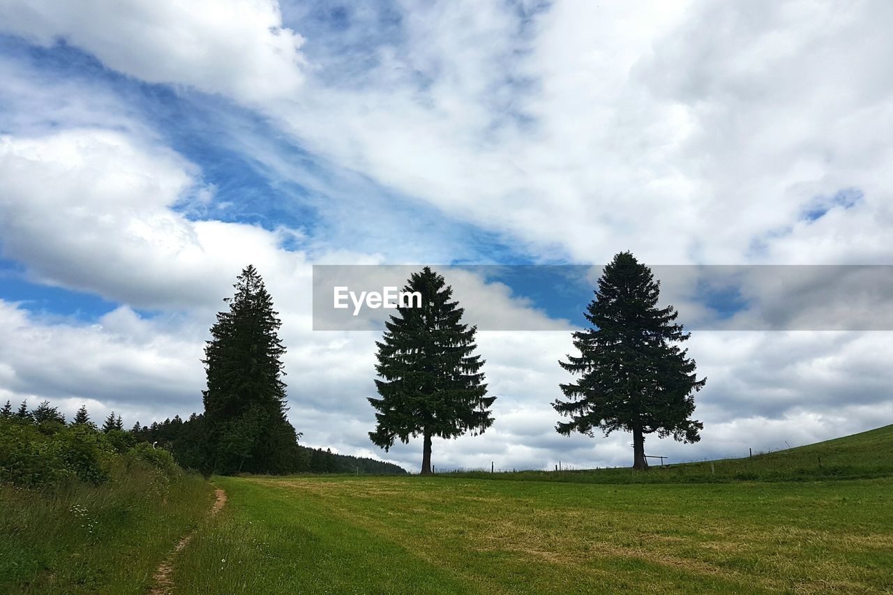 Trees growing on grassy field against cloudy sky