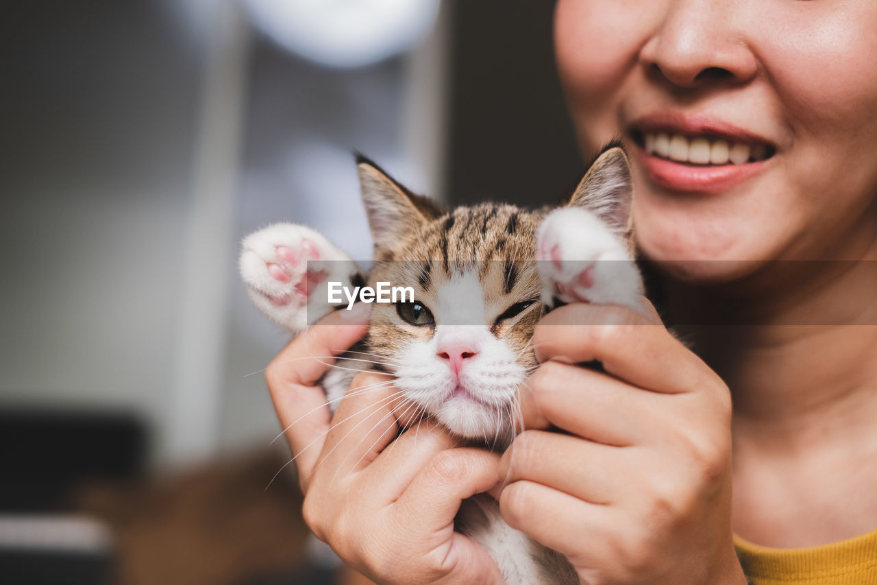 Midsection of smiling woman holding kitten
