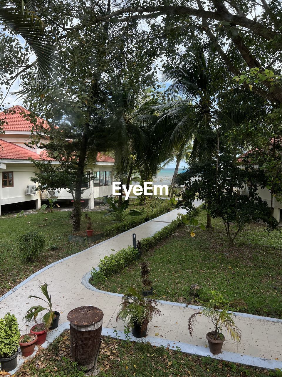 plant, tree, nature, architecture, built structure, day, growth, building exterior, green, no people, outdoors, house, low angle view, building, garden