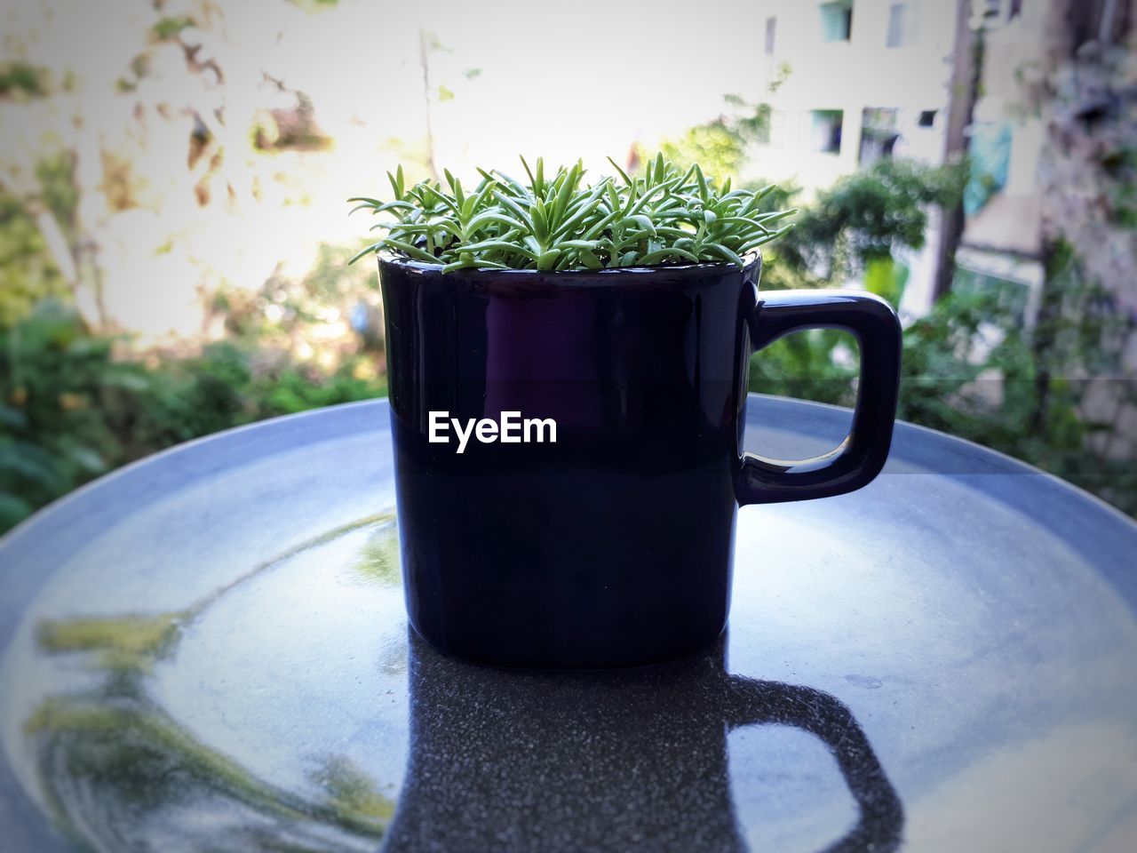 CLOSE-UP OF COFFEE SERVED ON TABLE