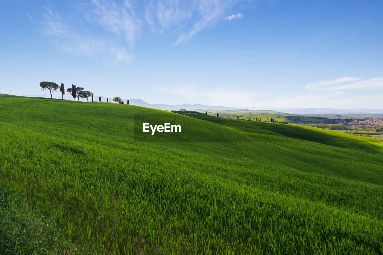 PANORAMIC VIEW OF AGRICULTURAL FIELD AGAINST SKY