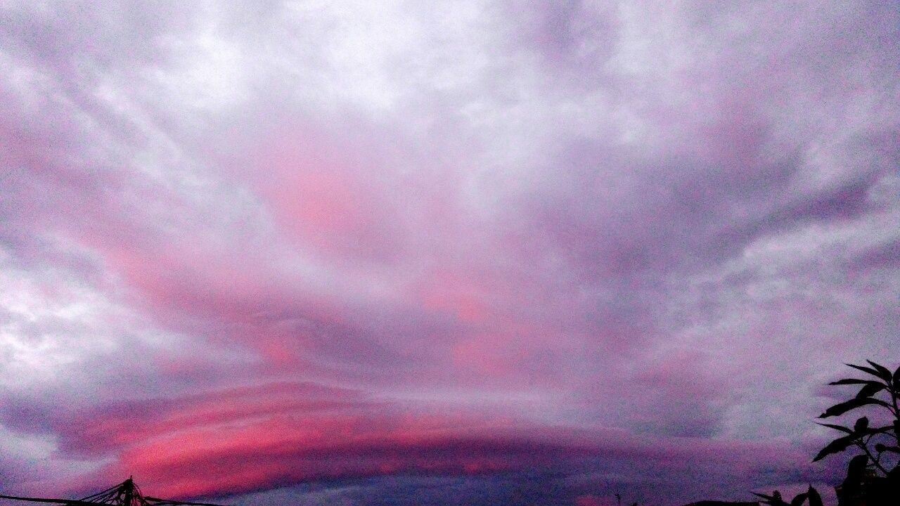 SILHOUETTE OF TREES AGAINST CLOUDY SKY